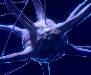 L'informatique aux commandes de la biologie