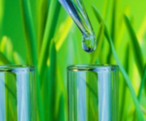 Les nanotechnologies aussi peuvent se mettre au vert