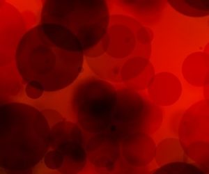 Cartographier les membranes cellulaires est désormais possible grâce à une nouvelle méthode d’imagerie