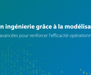 Webinar : Améliorez vos processus grâce à la modélisation prédictive - REPLAY