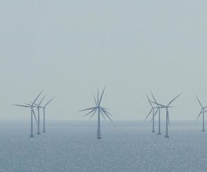Éolien en mer : la filière française alerte face aux vents contraires qui soufflent sur le secteur