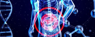Lutter contre les inflammations de l'intestin avec l'aide des organoïdes