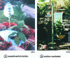 Figure 6 - BEL W3 tobacco educational stations to raise awareness of ozone pollution