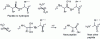 Figure 8 - Acid-catalyzed hydrolysis of a peptide bond (amide)
