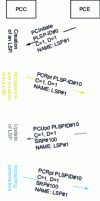 Figure 28 - Procedure for creating an LSP