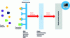Figure 1 - Principle of a biosensor