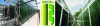 Figure 15 - Vertical solar photobioreactor marketed by Subitec