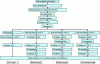 Figure 4 - General production diagram for the main types of plain yoghurt and fermented milk