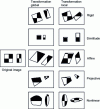 Figure 4 - Classification of different types of transformation